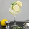 Libbey 502008 1924 20.75 Oz. Customizable Gin And Tonic Glass - 12/Case