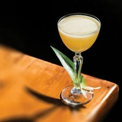 Libbey Speakeasy 4.75 Oz. Customizable Nick And Nora Glass - 12/Case -Wine Glasses Shop 1757172